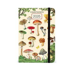 Cavallini & Co. Mushrooms 2025 Pocket Weekly Planner, 4"x6"